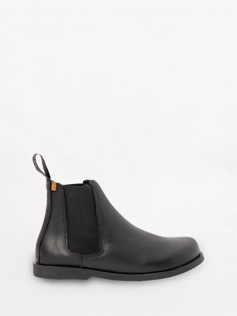 El Naturalista Arenisca N5875