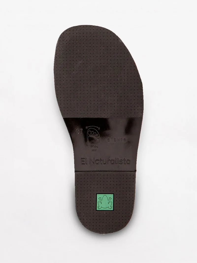 El Naturalista Crisol N5985 slika 2
