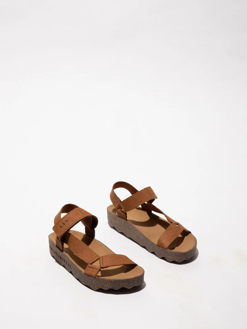 Clew P018222 slika 1