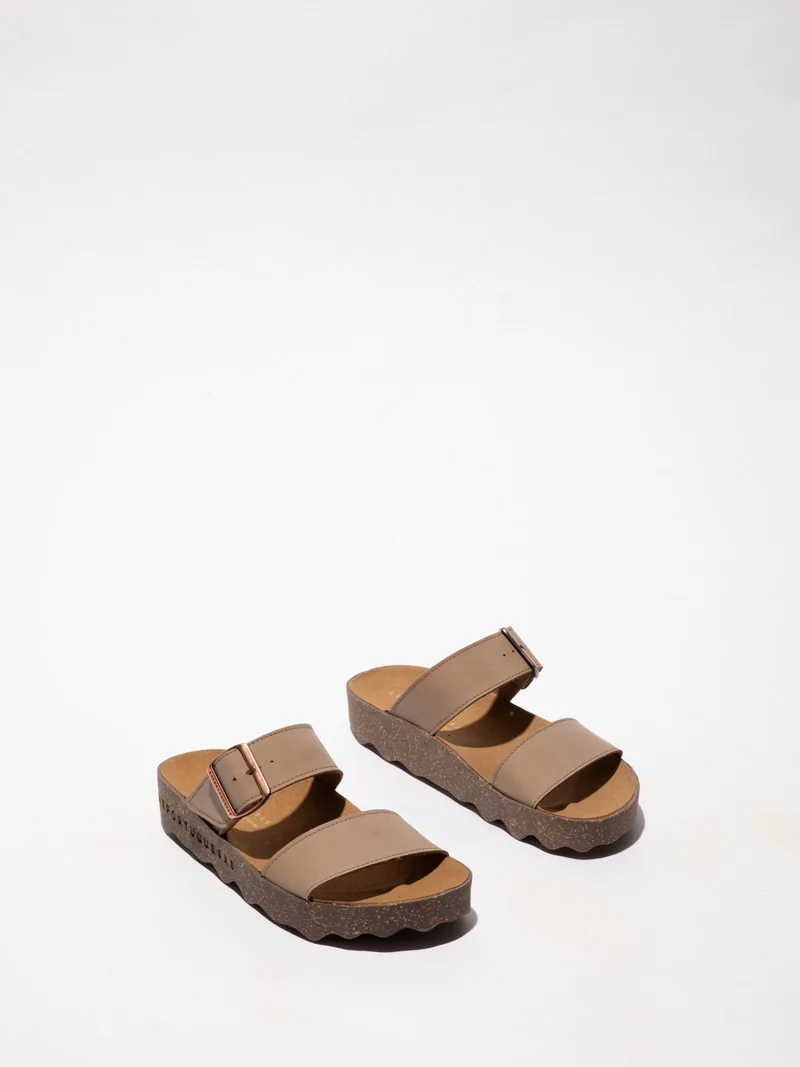 Coly P018225 slika 1