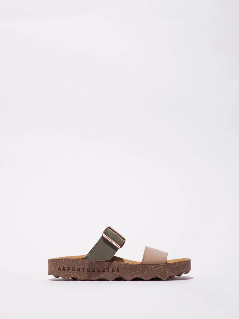 Coly P018225