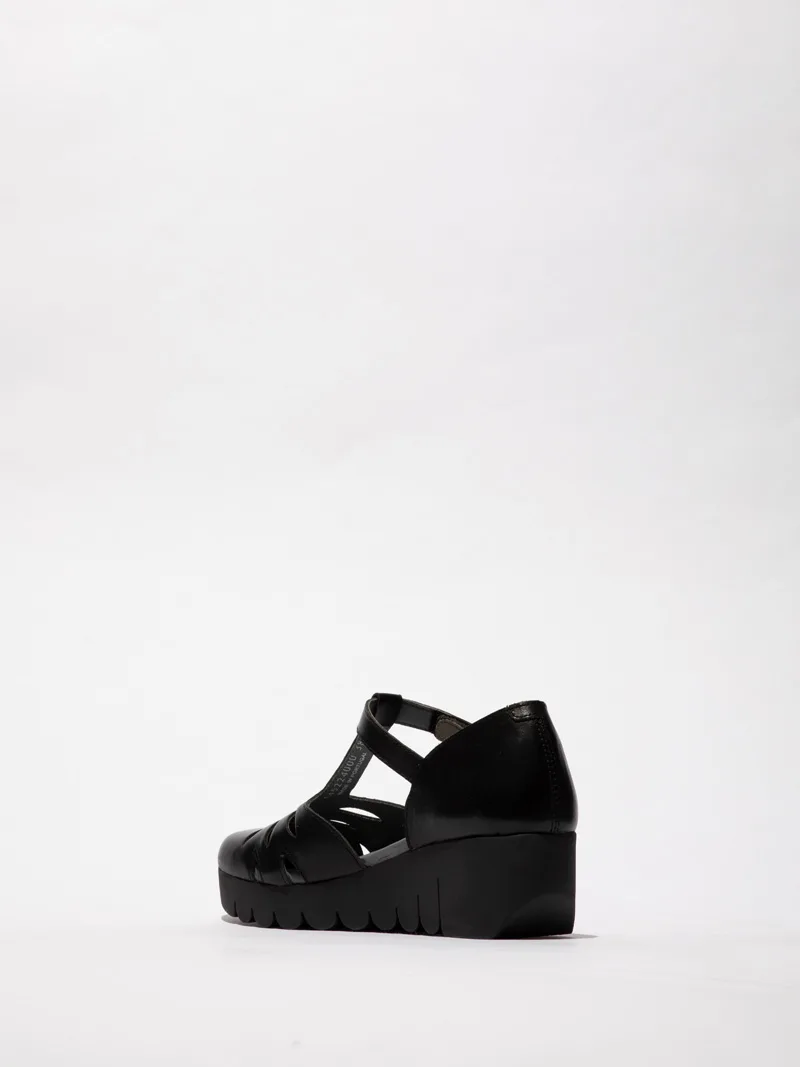 Velt slika 2