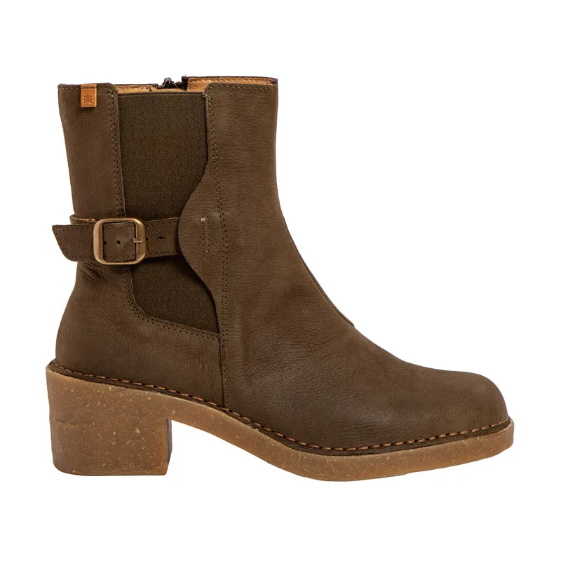El Naturalista Ticino N5669