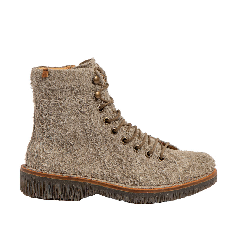 El Naturalista Volcano N5572P