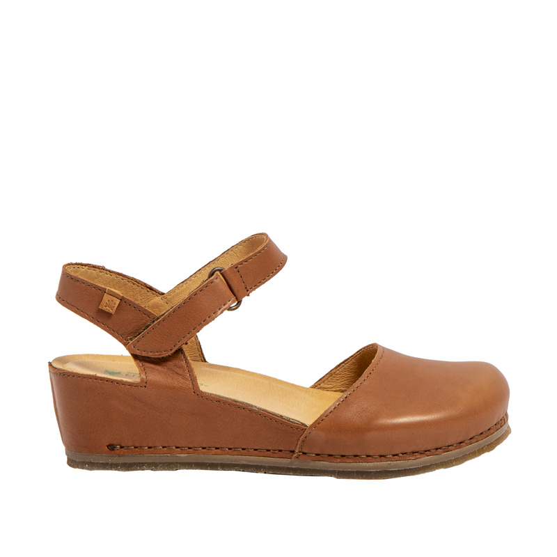 Picual N5850