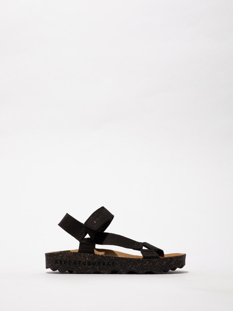 Clew P018222