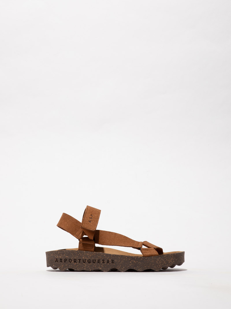Clew P018222